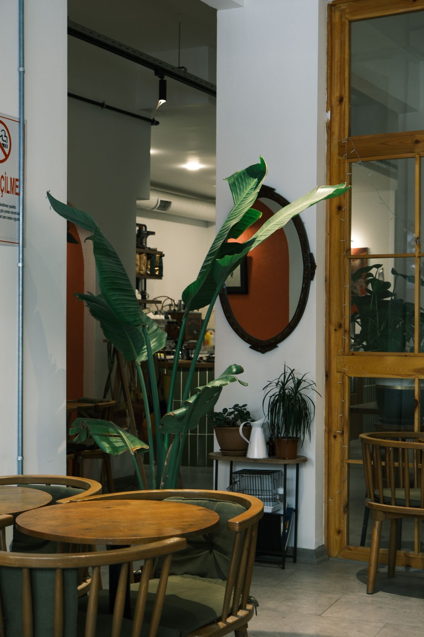 植物と木の家具のコーナー